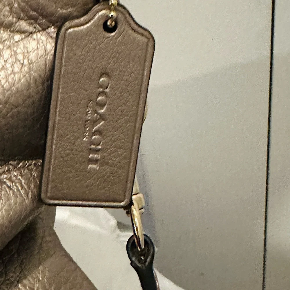 COACH Isabella Shoulder/Crossbody Bag,Pebble Leather,Light Metallic Champagne - Picture 6 of 15
